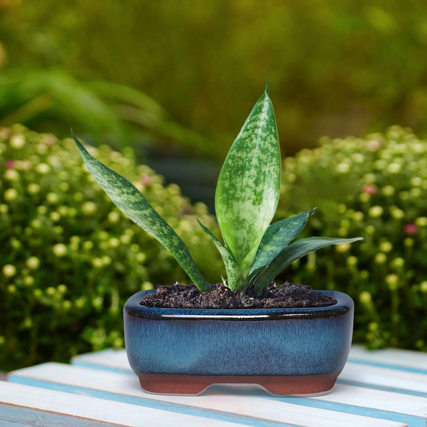 Ceramic Flower Pots with Drain Hole Rectangle Ceramic Garden Planter Pots for Balcony Living Room Bedroom shipping from usa
