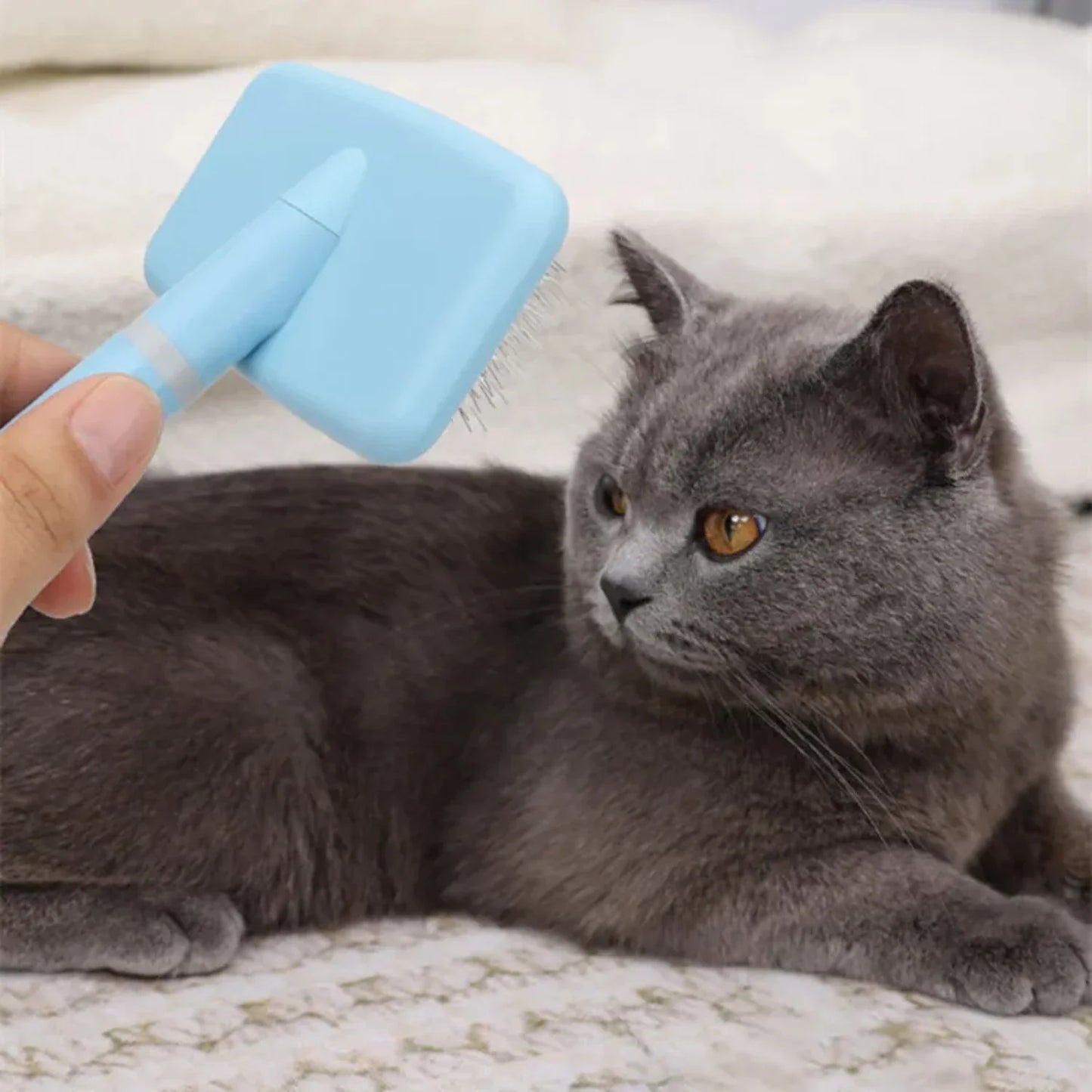2PCS Dog Brush Pet Hair Remover Massage Dog Combs Pet Grooming Stainless Steel Brush Dogs Knot Opening Cat Comb Dogs Accessori