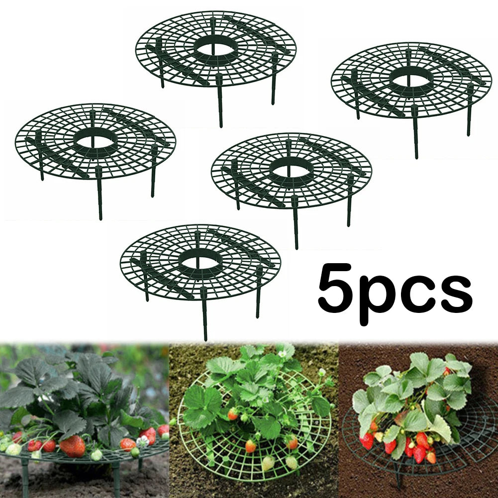 Strawberry Supports with 4 Sturdy Legs Keeping Plant Fruit Stand Keep Berries Clean Vegetable Growing Rack Garden Tools