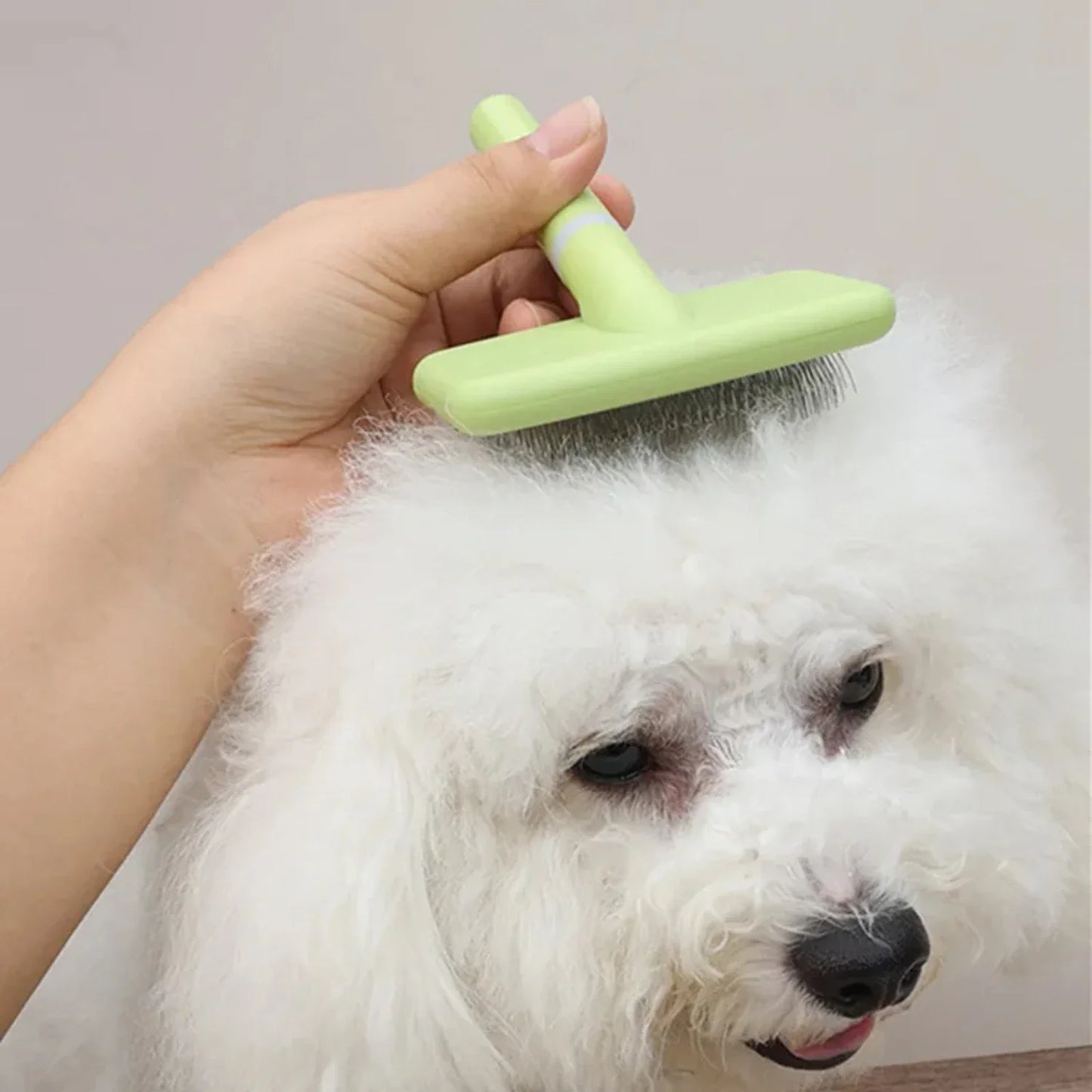 2PCS Dog Brush Pet Hair Remover Massage Dog Combs Pet Grooming Stainless Steel Brush Dogs Knot Opening Cat Comb Dogs Accessori