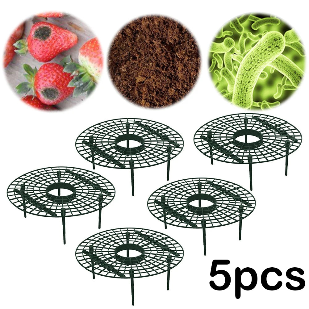 Strawberry Supports with 4 Sturdy Legs Keeping Plant Fruit Stand Keep Berries Clean Vegetable Growing Rack Garden Tools