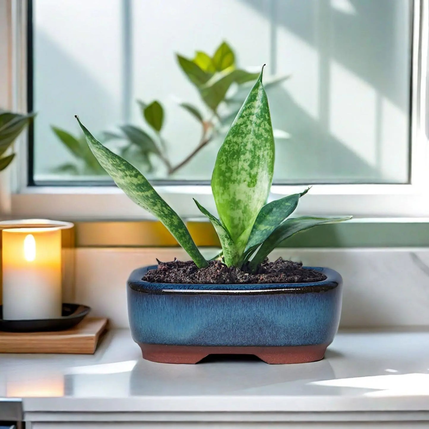 Ceramic Flower Pots with Drain Hole Rectangle Ceramic Garden Planter Pots for Balcony Living Room Bedroom shipping from usa