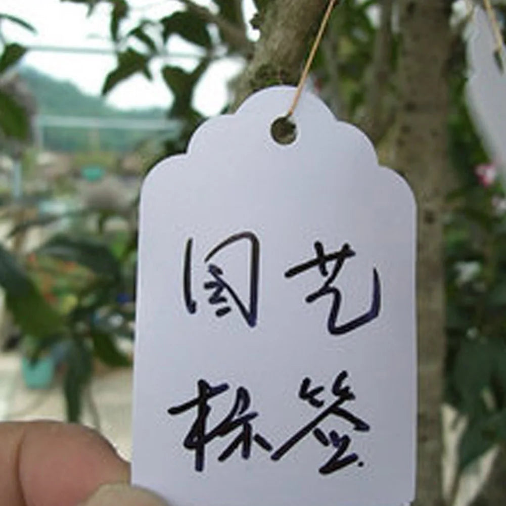 100pcs Seedlings Hanging Labels with String Plant Classification Markers Writable Waterproof Reusable  Gardening Supplies